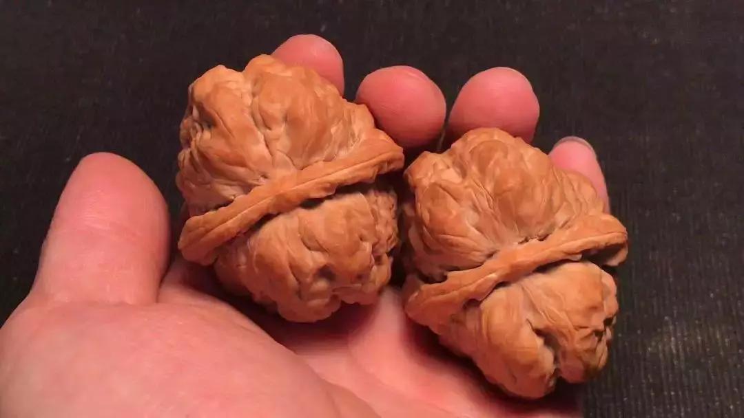 怎样玩核桃视频,新核桃盘玩步骤方法