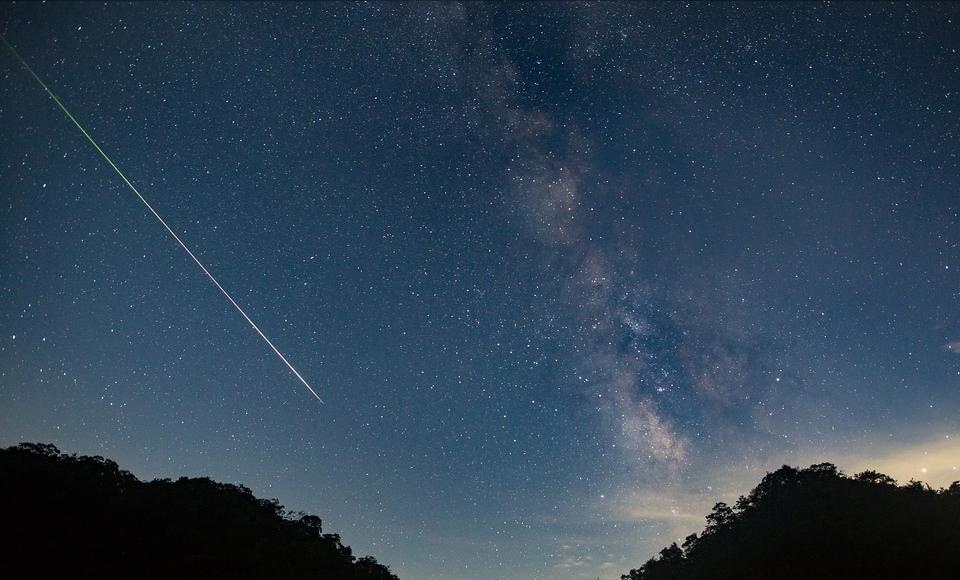 河南政府购岗最新信息,河南政府购岗文件规定