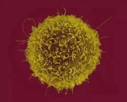 基因修改是不是可以治疗癌症,如果基因被移除了会怎么样