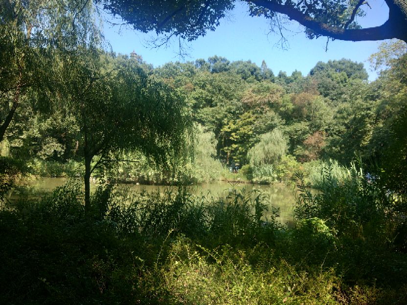 襄阳人苞谷味在臆想中的古隆中卧龙岗居于何地？