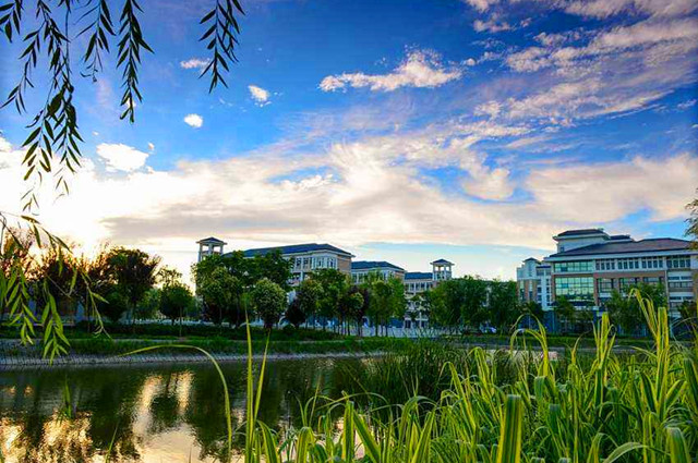 射阳今年高考最高分多少,今年射阳高考最高分