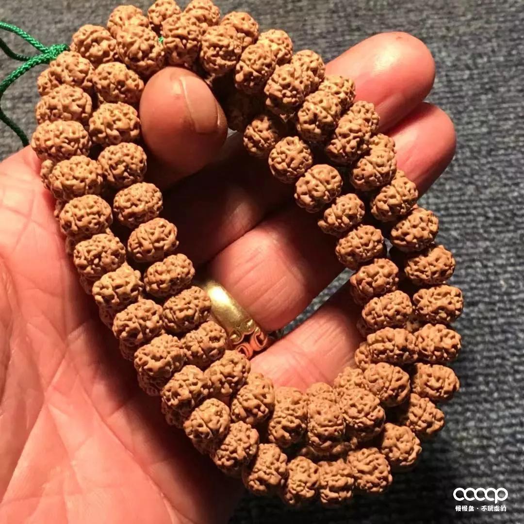 小金刚价格为什么差这么多,小金刚被骗200万