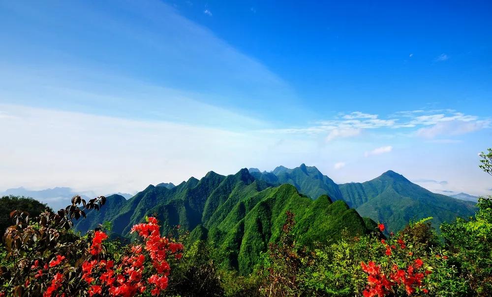 秀山灯光表演无人机,秀山湖广场无人机