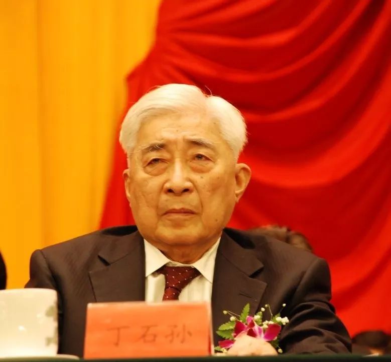 深切缅怀|丁石孙：既然当了民盟中央主席，就要尽己之力把它当好