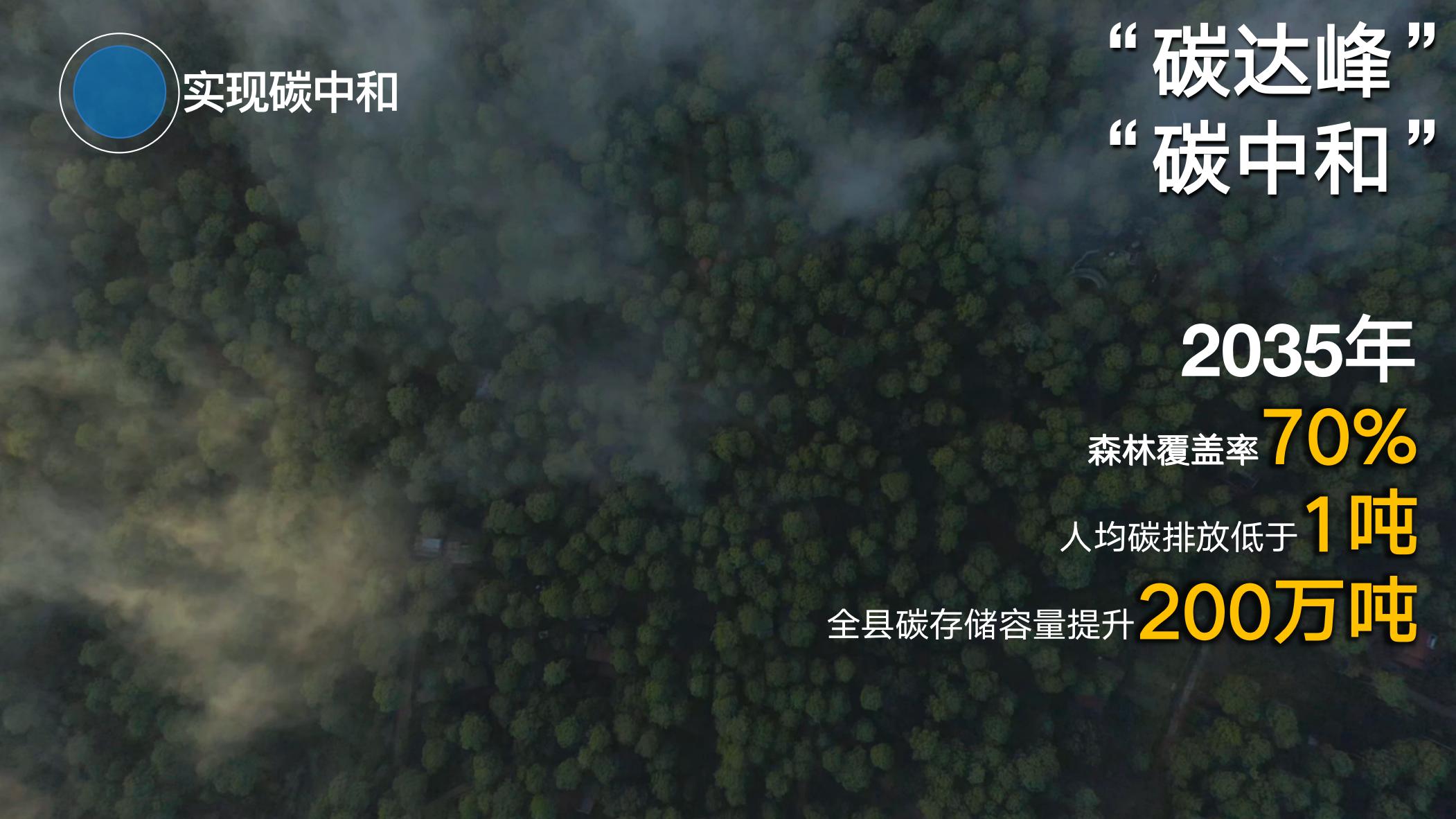 成都蒲江未来发展,成都蒲江未来发展规划