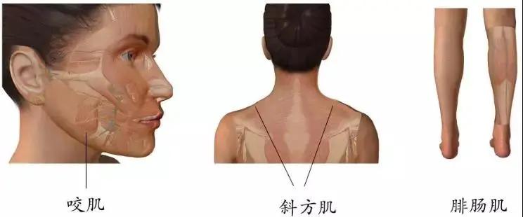 暑期变美变瘦好物推荐,暑假教你如何变美