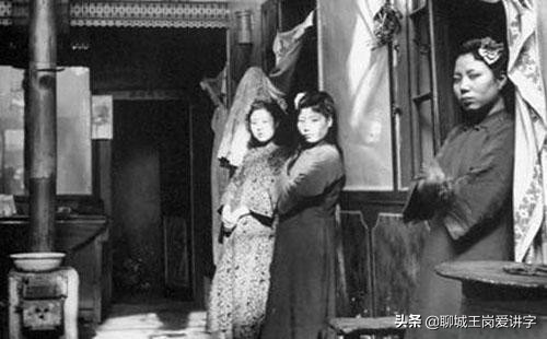 为什么乌龟是长寿的象征,乌龟王八都长寿原因