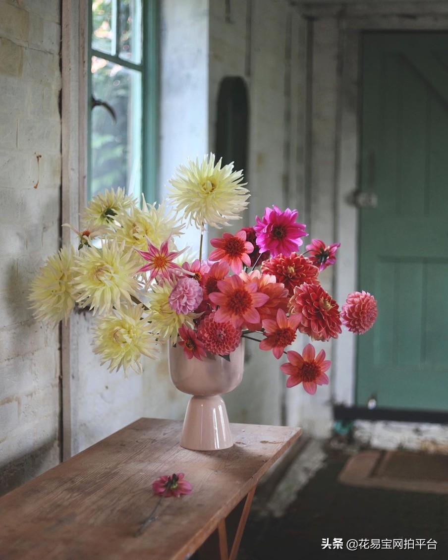 七夕玫瑰花语大全,盘点七夕送花必备的玫瑰花语