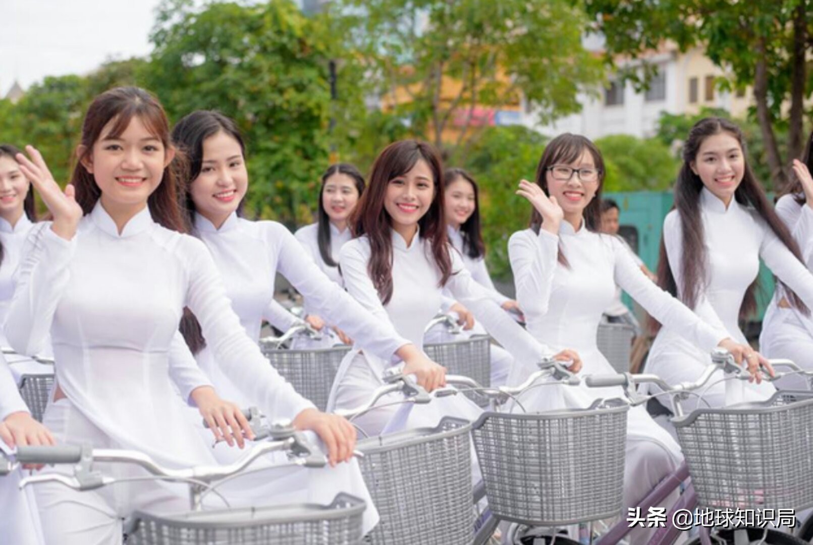 你得不到的越南姑娘｜地球知识局