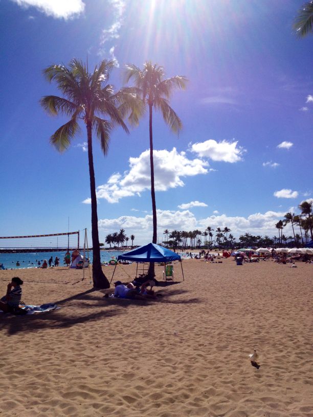 我家的旅行故事全集,我家的旅行故事美国