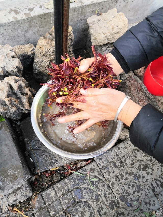 香椿芽做法老东北美食,成都家常菜香椿