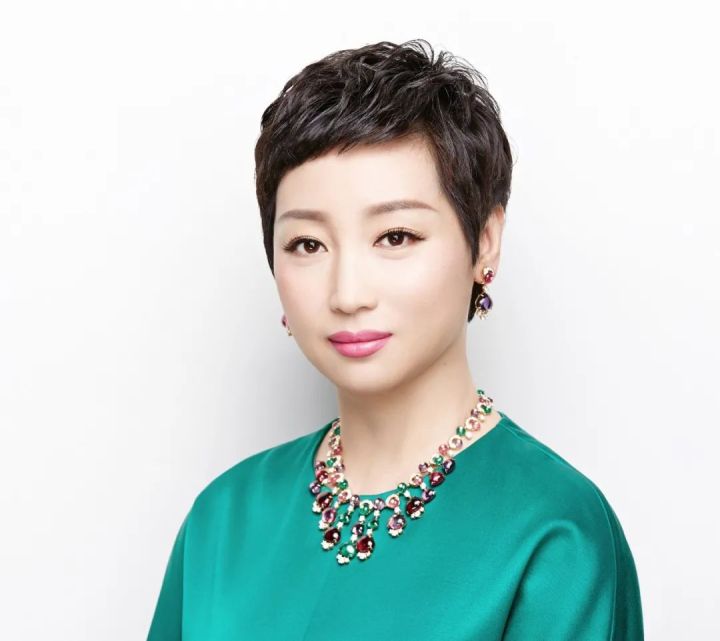 黄光裕,枭雄已老