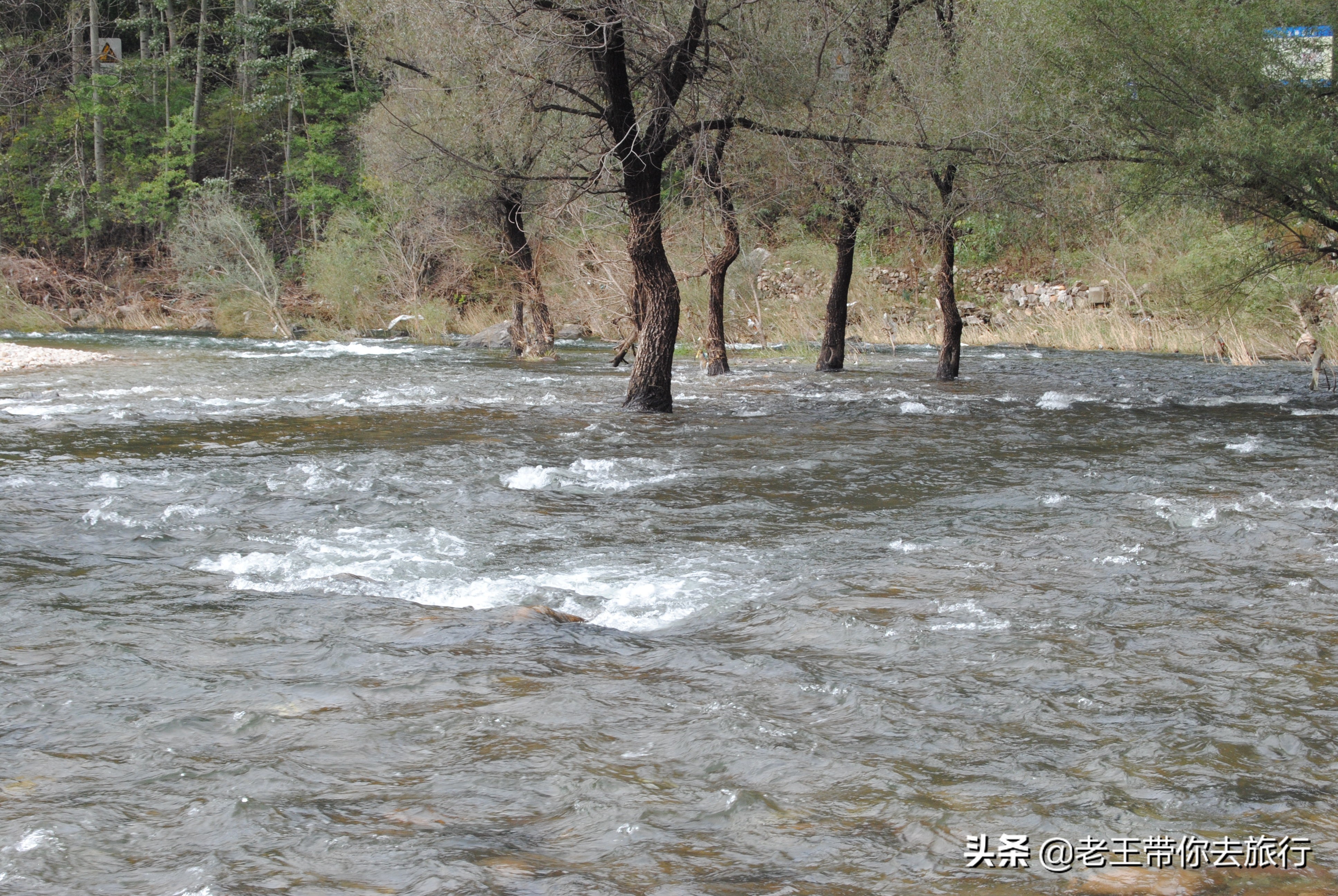 蓟州免费网红打卡地,蓟州网红打卡地西井峪
