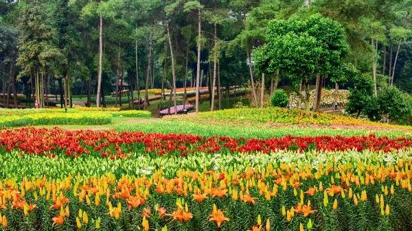 成都石象湖国家级生态园,成都石象湖风景区