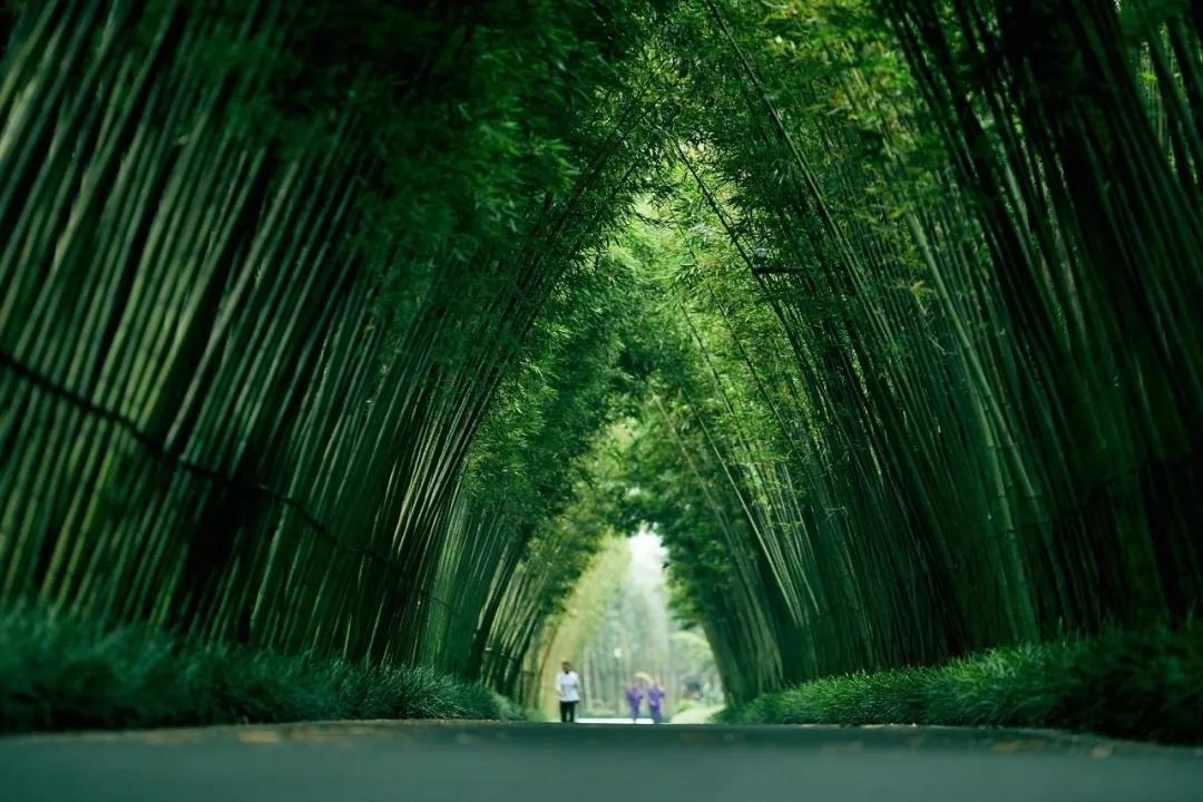 西派金沙潜力,西派金沙最新房价