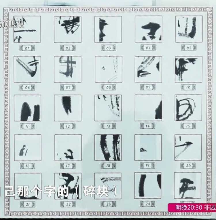 人们对张海书法如何评价,最强大脑张卓豪被淘汰