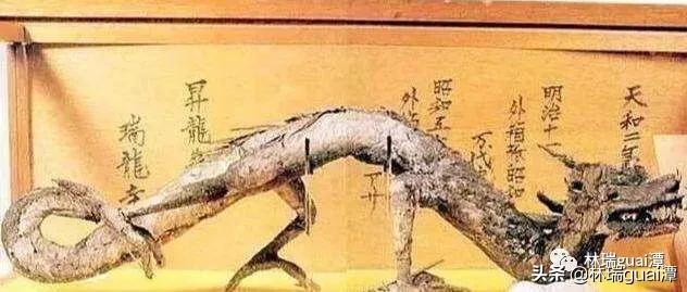 世界上龙真实存在吗,古代龙真实存在吗