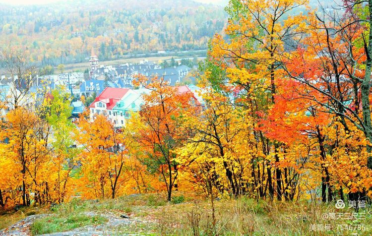 鍖楃編鏋儏閽荤煶姗℃湪,鍖楃編鏋儏鐏攨