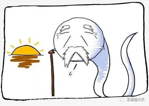 一篇文章让你秒懂,一篇文章让您读懂复刻表