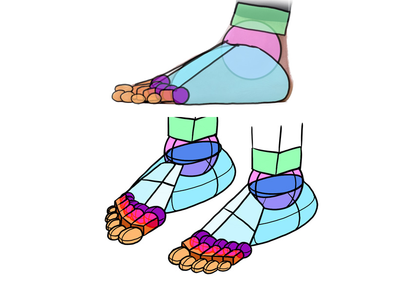 美术人体腿部教学视频,脚部结构绘画教程