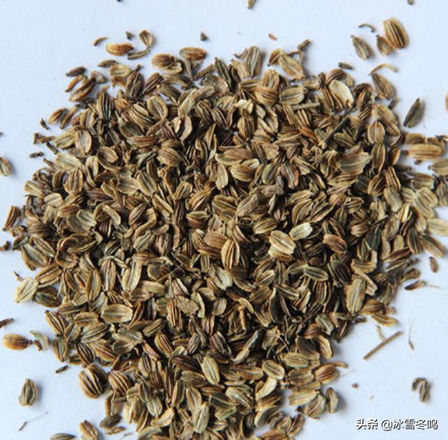 独活草籽这冷门香料的真身为何物？验明正身原来它有丰富搭配应用