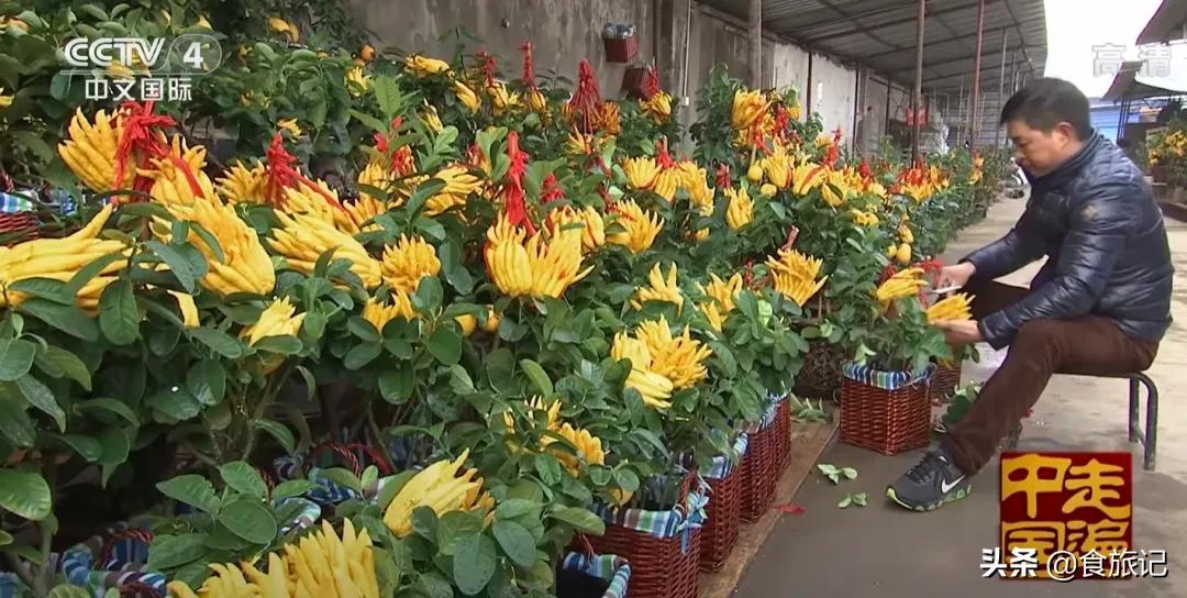 怎样才能吃到好吃又营养的果子呢,像灯笼一样的果子可以吃吗