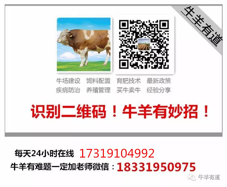 冬去春来需要注意什么,冬去春来怎么养生