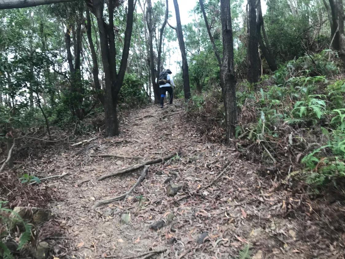 如果你觉得生活太过于平淡,如果你觉得生活太平淡就去改车吧