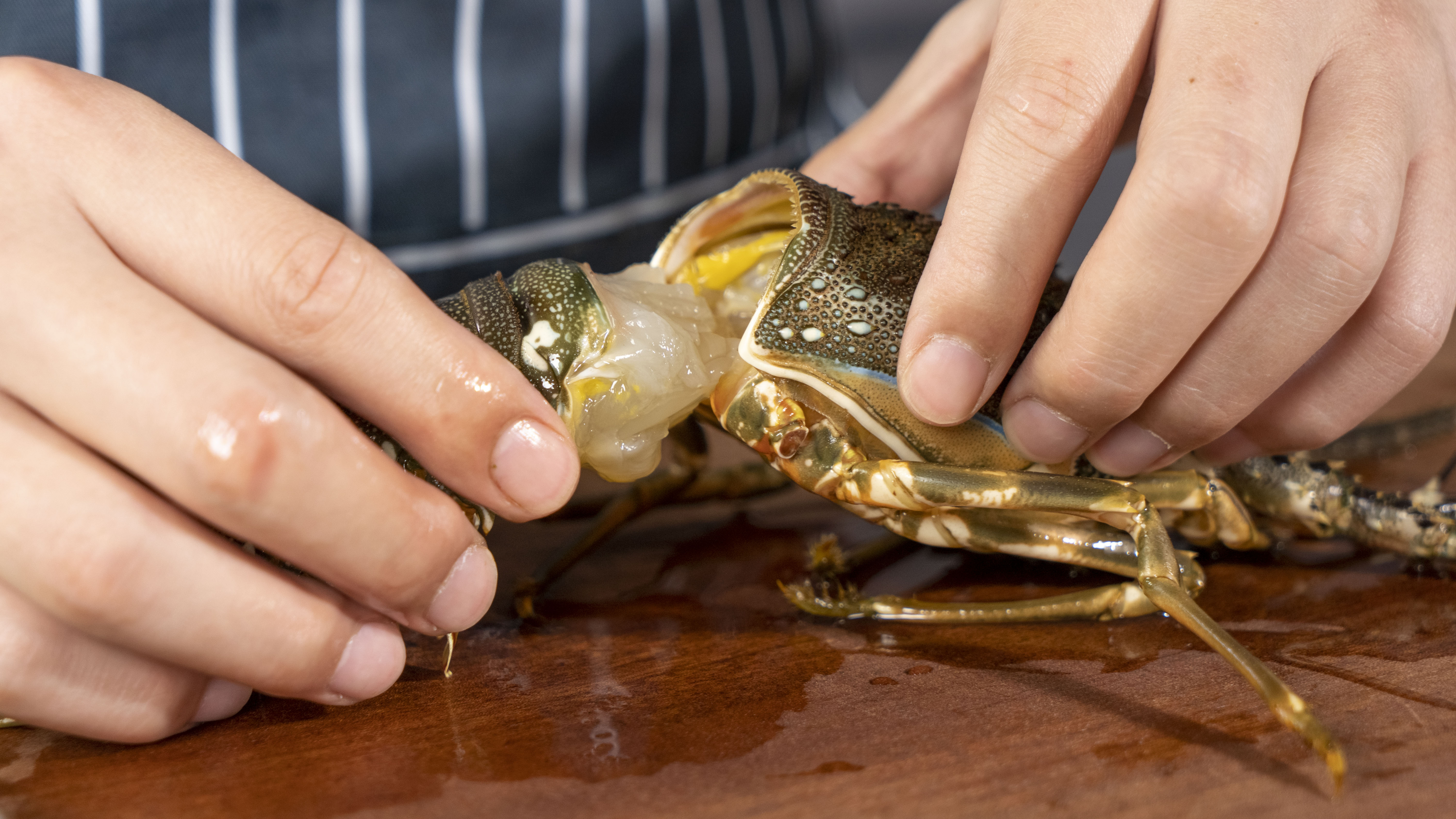 蒸烤一体机嵌入式推荐怎么选择,蒸烤一体机嵌入式柜子需注意什么