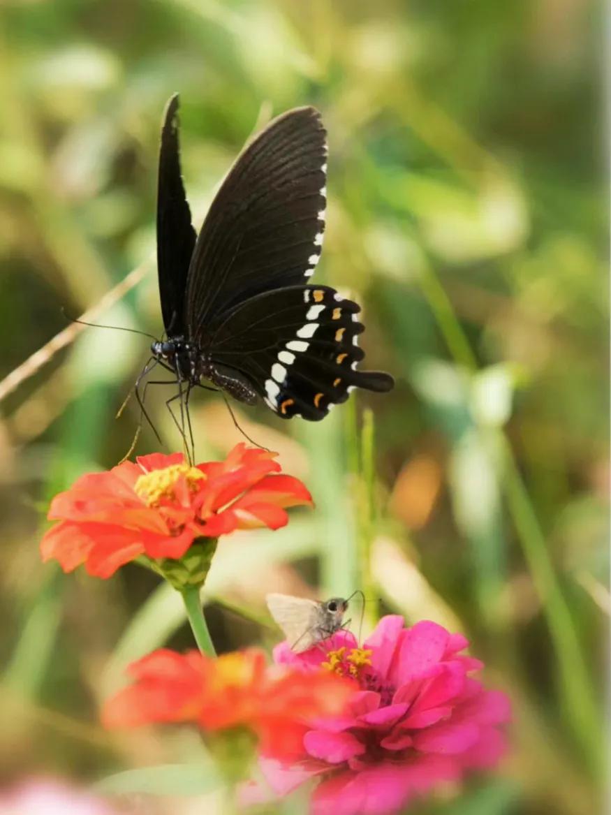 咏月诗词大全100首,咏月最著名十首诗