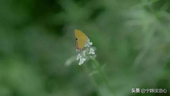 一日慎独则心安日日精进,日日精进人生