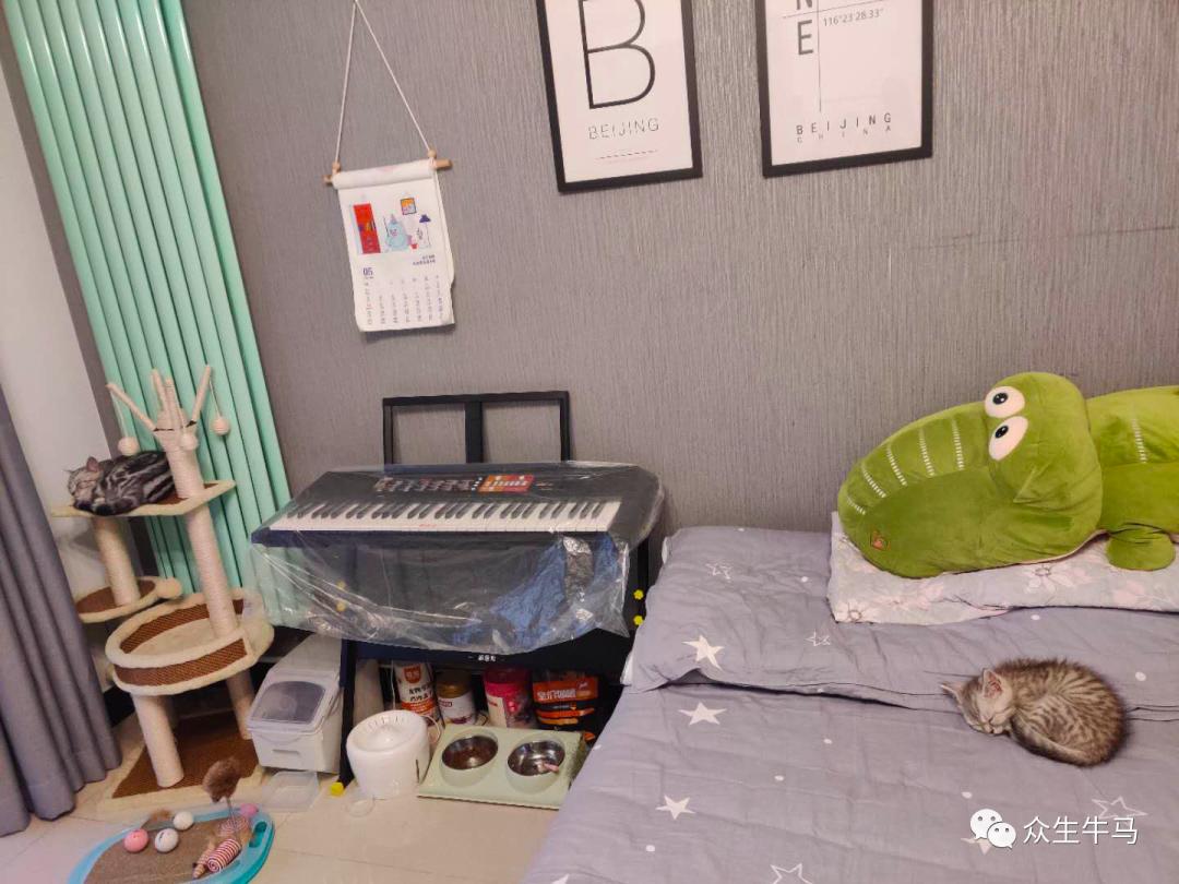 北风修仙笔记—2020年5月