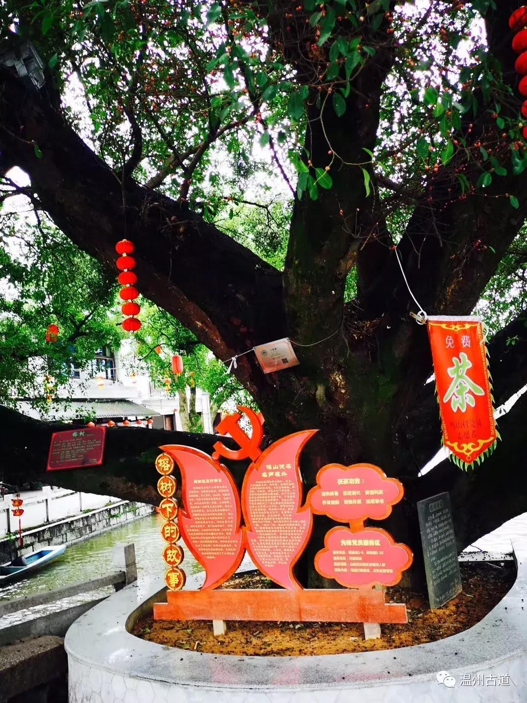 平阳鸣山古村落图片,千年古村平阳县鸣山村古城夜景