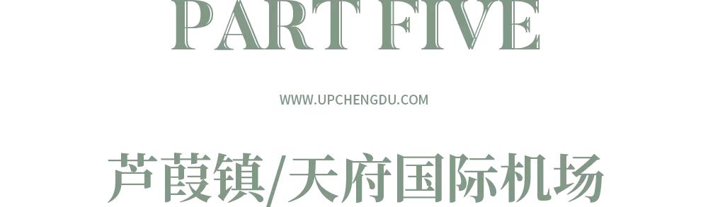 东部新区与天府新区,东部新区和天府新区