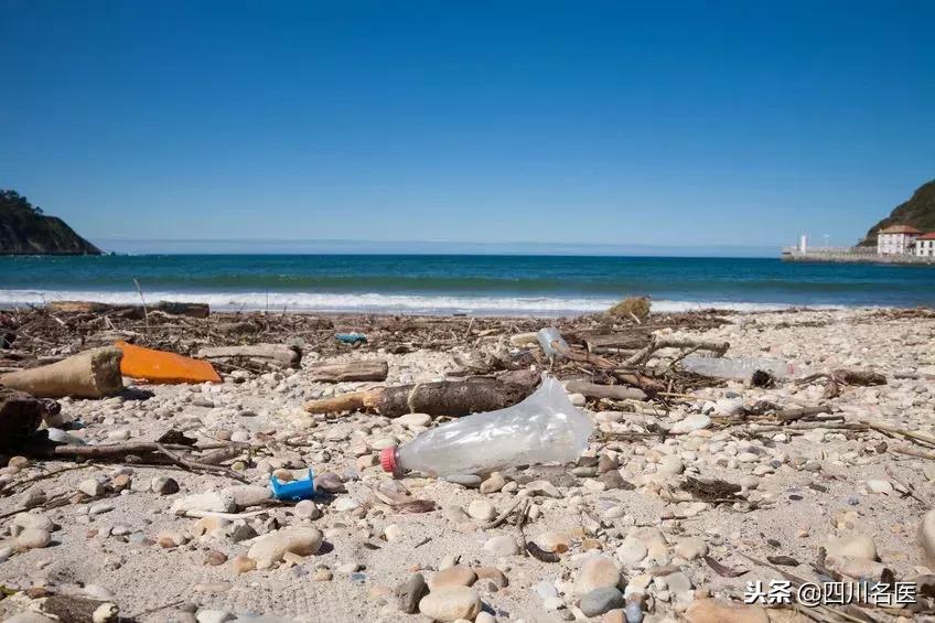 人体内有什么可怕的东西,塑料对肝脏有害吗