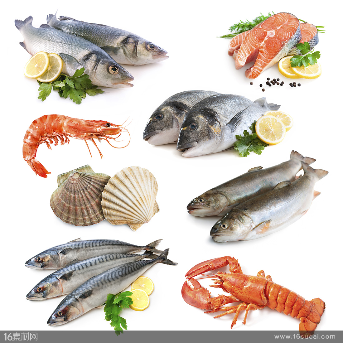 腔隙性脑梗死严重吗,腔隙性脑梗死一般寿命多长