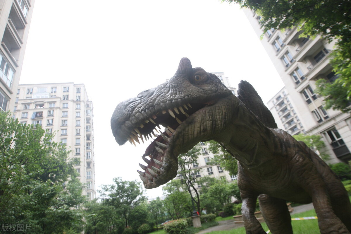 改产品后的广源凤岭壹号院，逆风翻盘依旧是难题