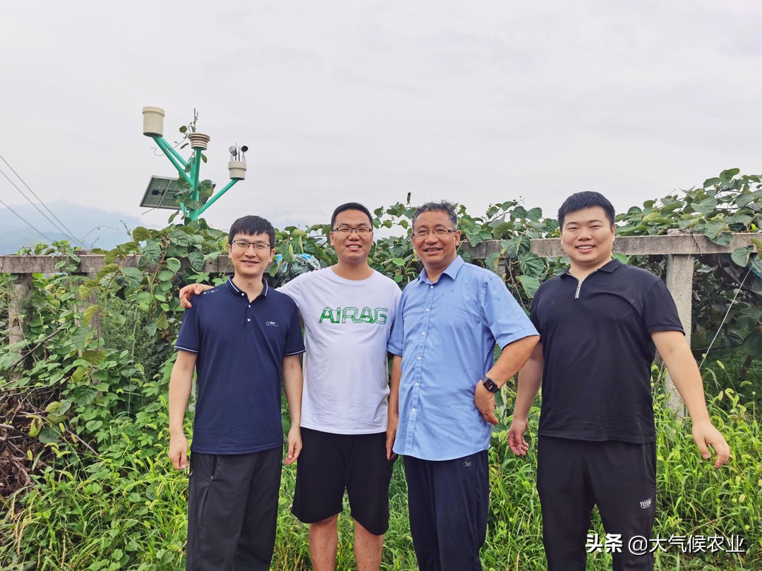 眉县猕猴桃合作社名单,眉县猕猴桃专业合作社