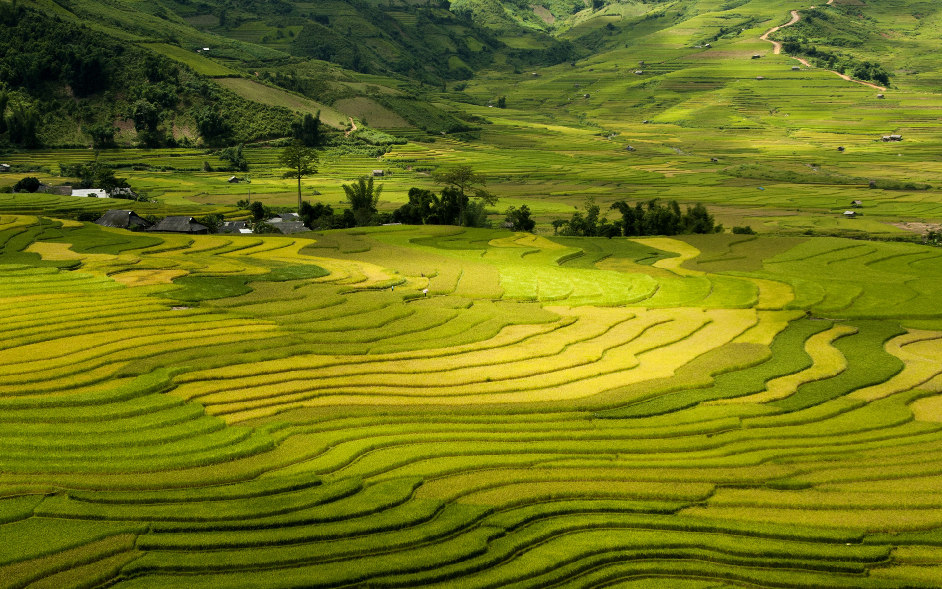 1920x1080超高电脑壁纸风景,1920x1080超清电脑壁纸风景