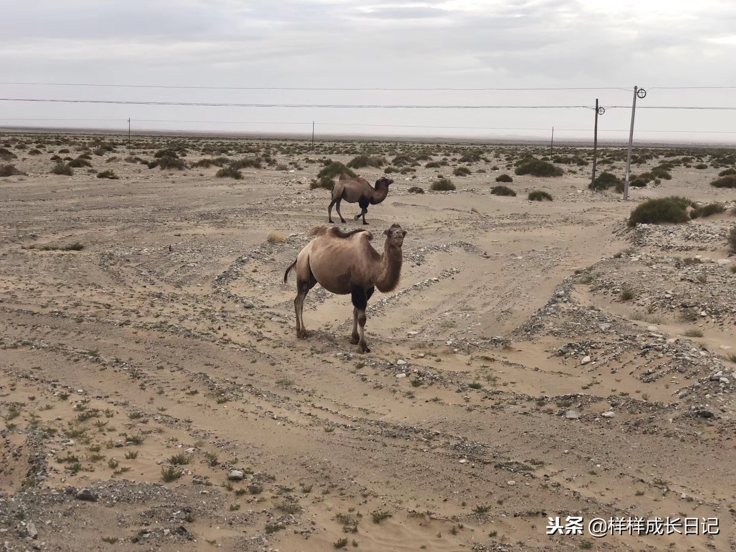 最新版新藏线叶城拉萨骑行攻略,219新藏线自驾游从叶城出发