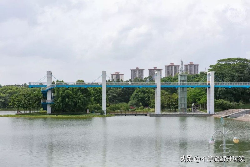 东莞植物园美丽好风景,东莞植物园有什么景色