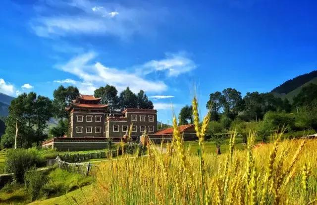 摄影晴天调色技巧,摄影教程13步教你拍出璀璨星空