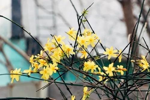 天津商业大学综合排名,天津商业大学真实排名