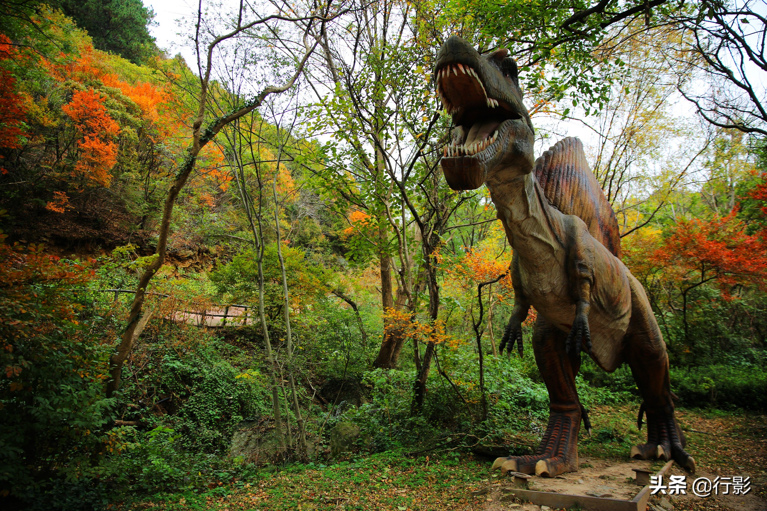 武汉云雾山游玩攻略,安陆云雾山和黄陂云雾山