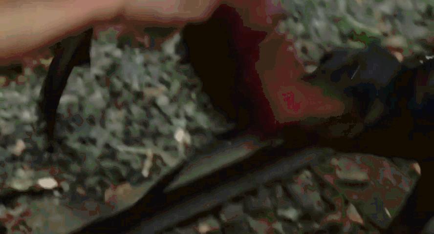 脑路清奇，日本搞笑灾难片《生存家族》，向你讲述停电后的世界…