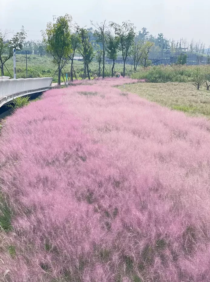 国庆假期去哪里啊,国庆去哪里嗨翻天