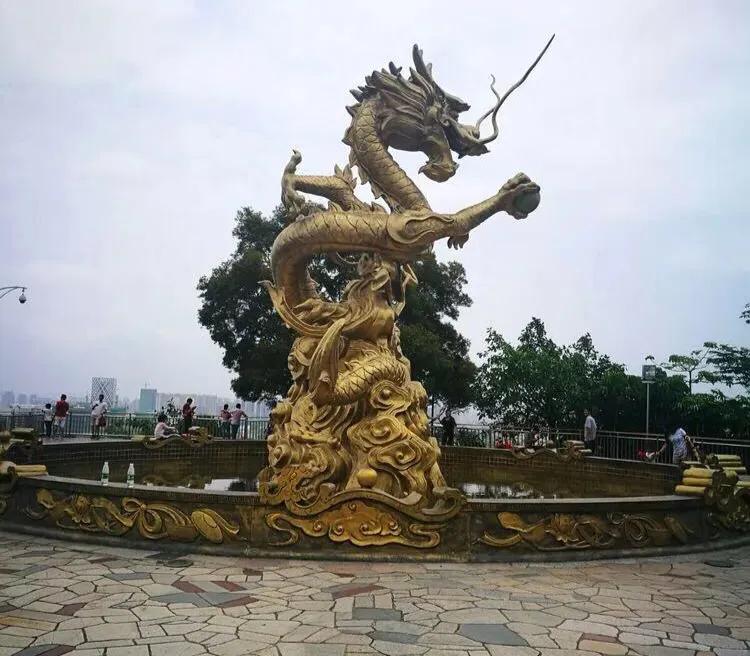 深圳花海公园推荐景点有哪些,深圳花海公园地址在哪里