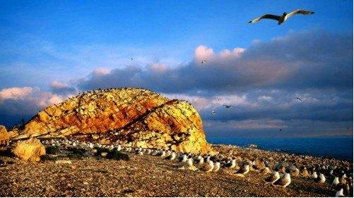 青海是著名的旅游圣地,青海这么美你会去看吗