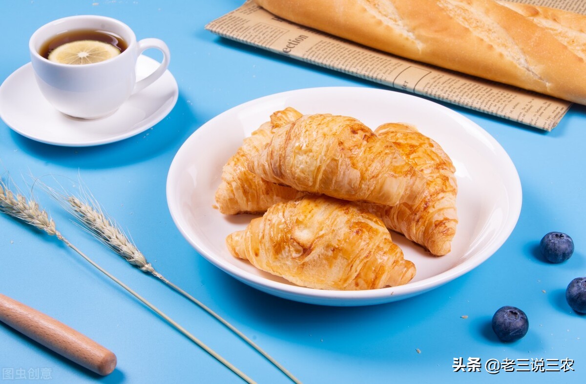 养100只母兔一年的利润,养兔200种兔一年能赚多少钱