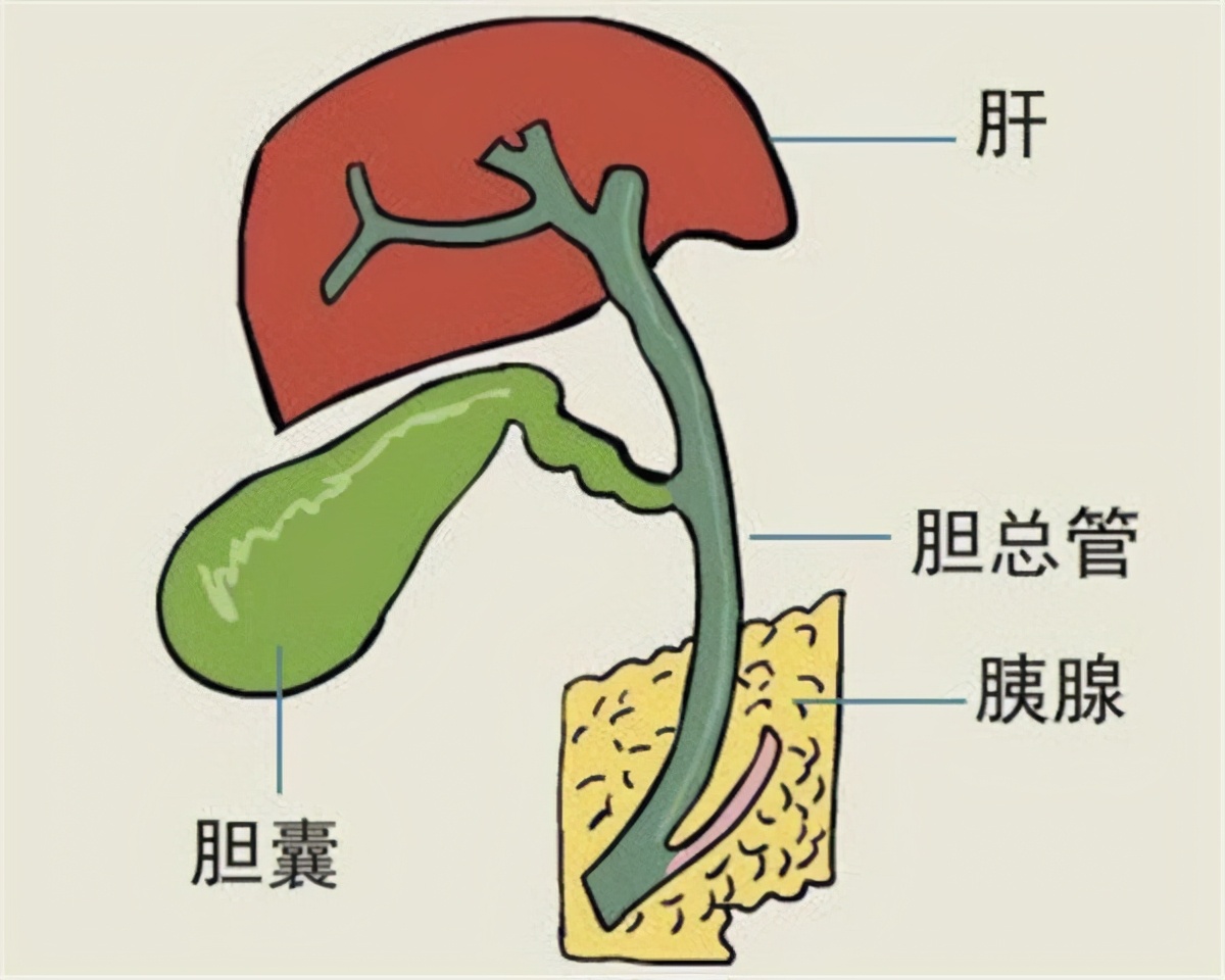 胆囊炎吃鸡蛋会是什么症状,胆囊炎胆结石能吃鸡蛋吗